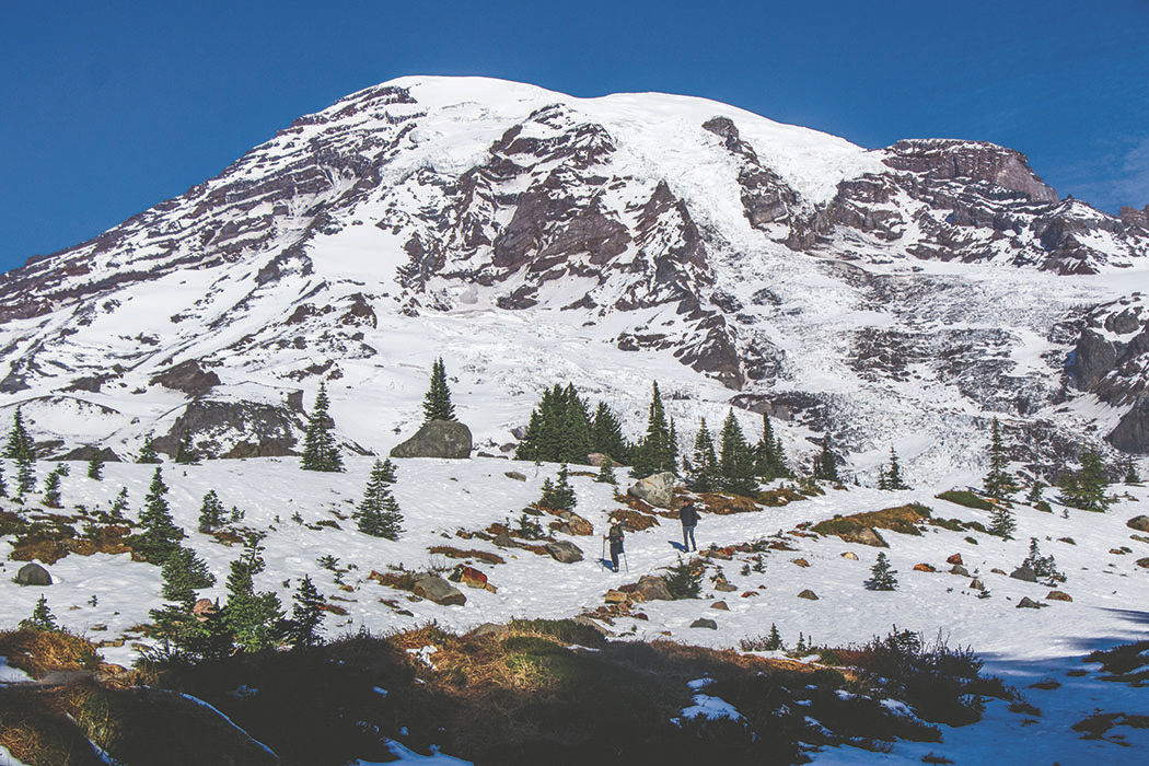 Photos: From Paradise in Mount Rainier National Park